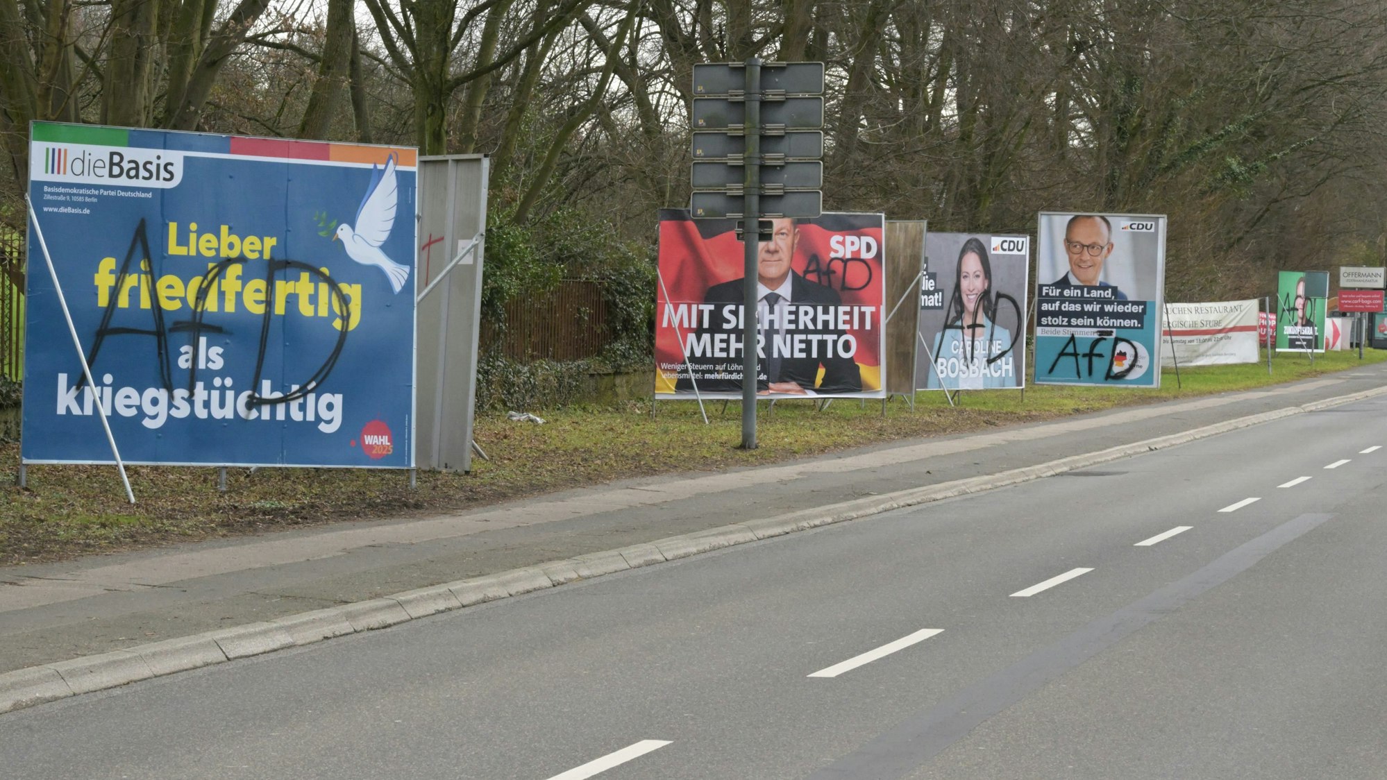 Auf Wahlplakaten am Straßenrand in Bensberg prangt der gesprühte Schriftzug „AfD“.