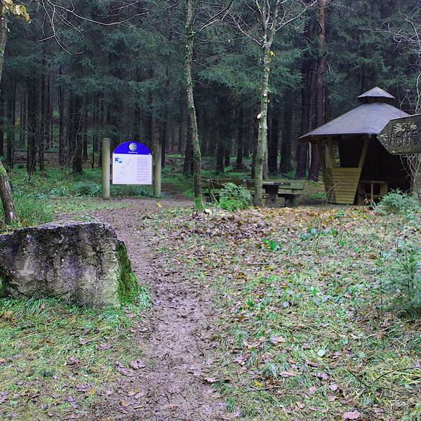 An einem historischen Stein im Wald stehen eine Infotafel und eine Schutzhütte.