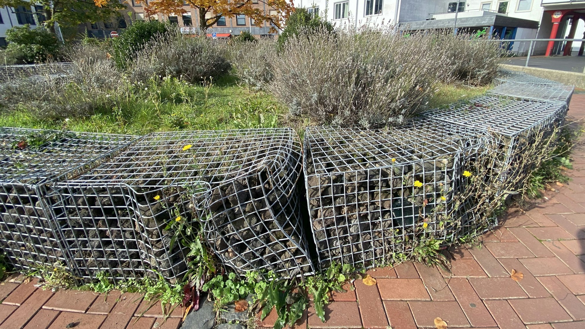 Beim Zusammenstoß mit einem Kfz gab der Klügere offensichtlich nach: Sie haben Beulen und Dellen, die Gabionen am Deinzer Platz. Wegen der mannigfachen Beschädigungen sind sie unschön anzusehen und auch nicht mehr verkehrssicher.