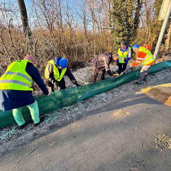 Nabu-Mitarbeitende beim Aufstellen des Amphibien-Schutzzauns.