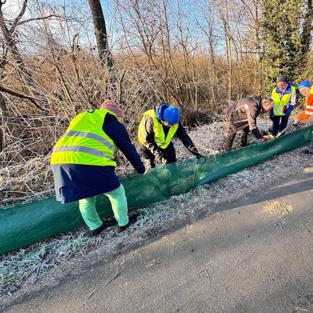 Nabu-Mitarbeitende beim Aufstellen des Amphibien-Schutzzauns.