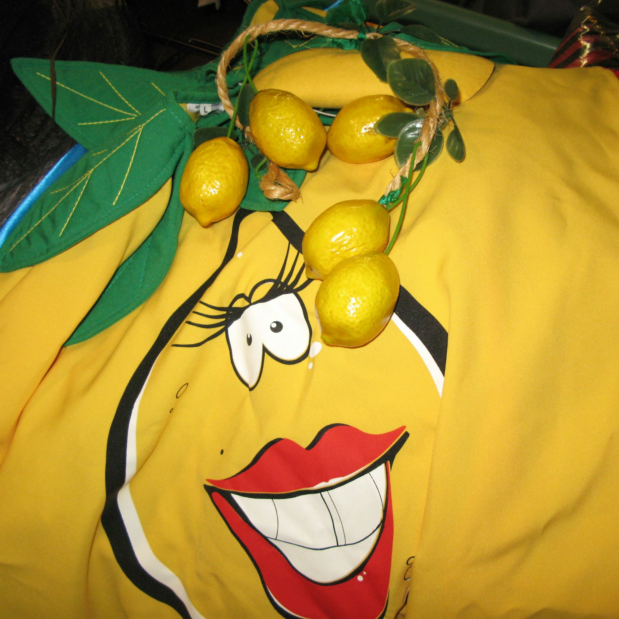 Das Bild zeigt ein Zitronenkostüm.