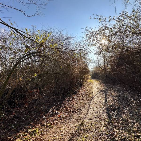Der Fuß- und Radweg zwischen Immendorf und Meschenich soll nach den Wünschen der Anwohner erhalten bleiben.