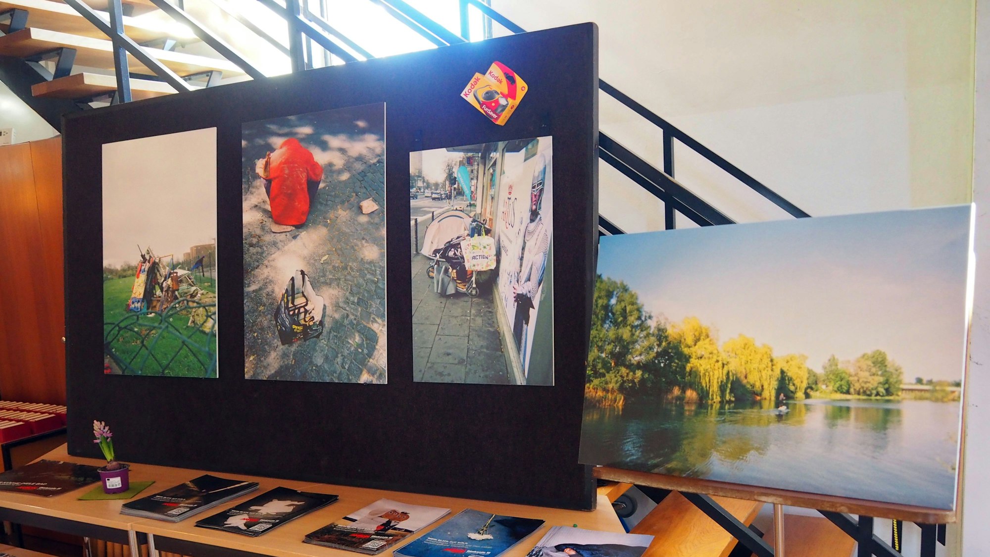 Verschiedene Fotos sind zu sehen.