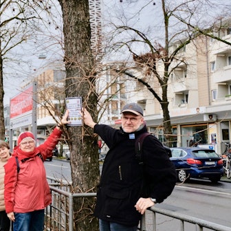 Zwei Frauen und ein Mann befestigen Infoschilder an Bäumen.
