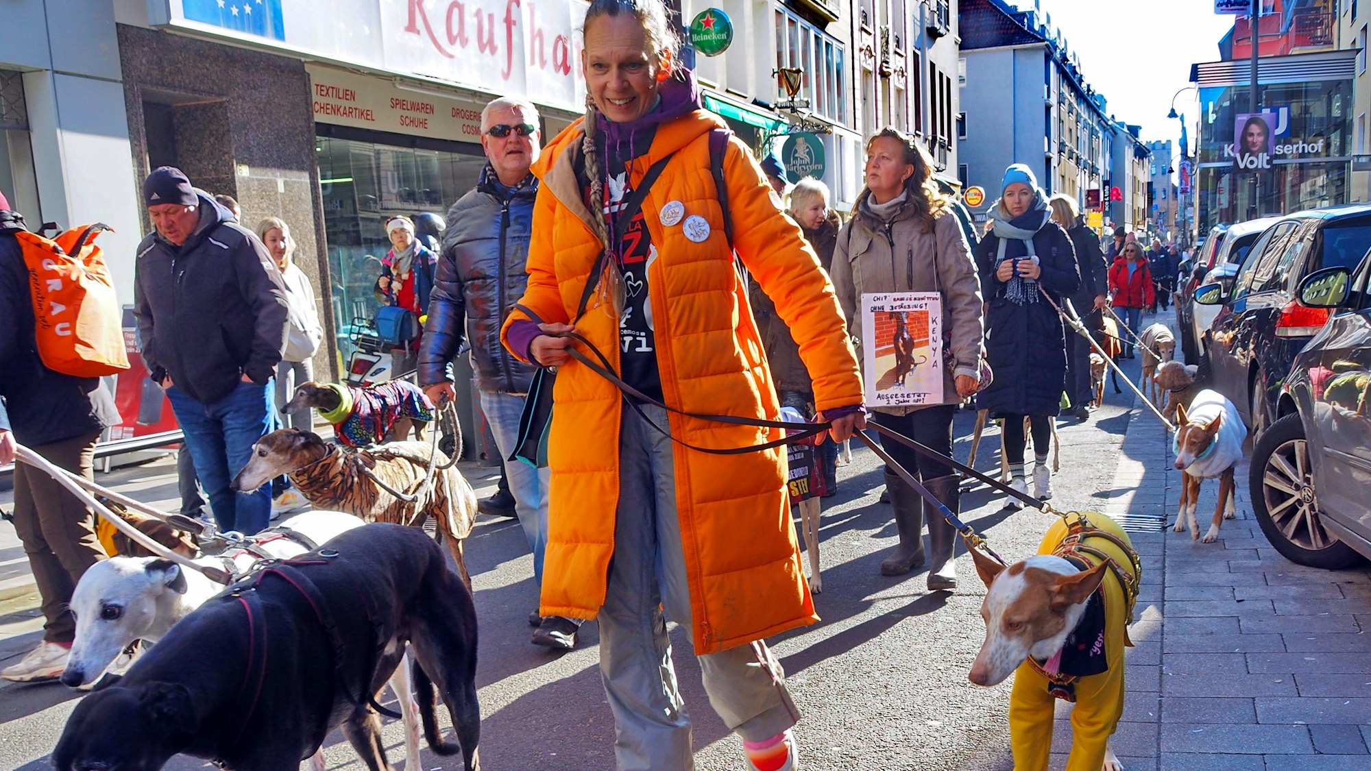 Männer und Frauen mit zartgliedrigen Jagdhunden laufen bei strahlendem Sonnenschein über die Severinstraße.