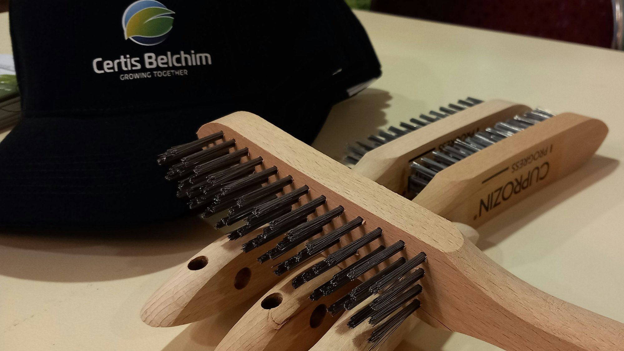 Die Drahtbürste als letztes Mittel gegen die Blutlaus?