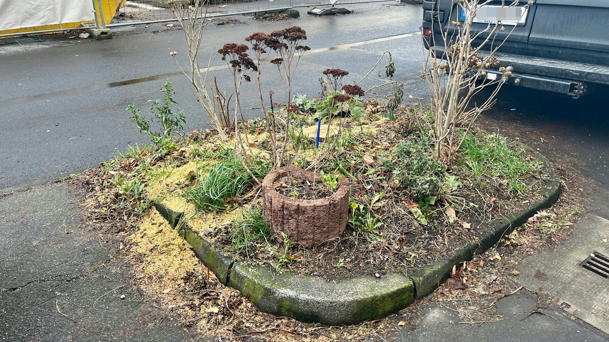 In zwei Baumscheiben fehlen nun die Kugelrobinien.