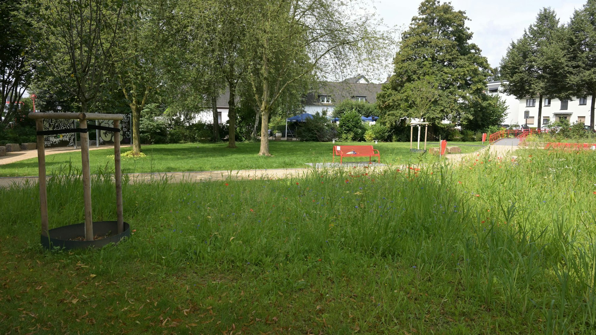 Blick auf Wiese, Bäume und rote Sitzbänke im Park.