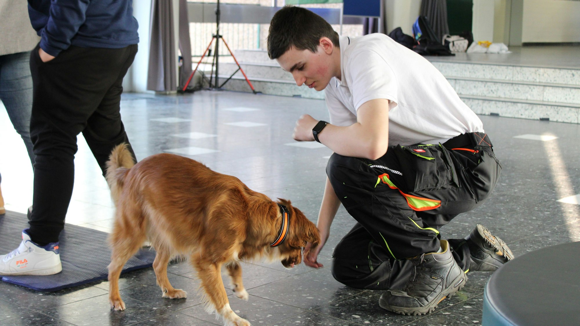 Ein Schüler kniet vor einem Hund, der ihm entgegenkommt. Daneben sieht man die Beine von mehreren Schülern, die einen Tunnel gebildet haben, hier ist der Hund gerade durchgelaufen.
