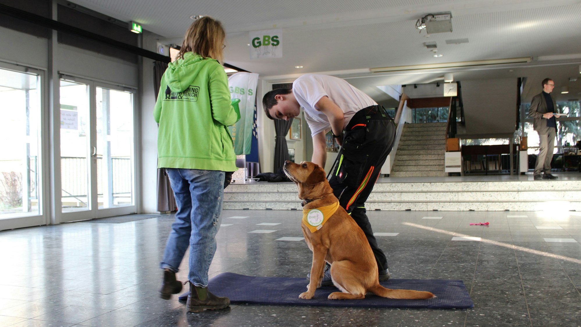 Eine Frau mit grüner Jacke, auf der das Logo einer Hundeschule zu sehen ist, geht auf einen Jungen zu, der einen sitzenden Labrador streichelt.