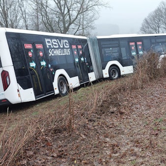 Ein Bus steht neben der Fahrbahn in einer Wiese.