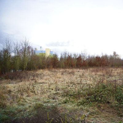 Gestrüpp wächst auf einem Areal am Hertenicher Weg.