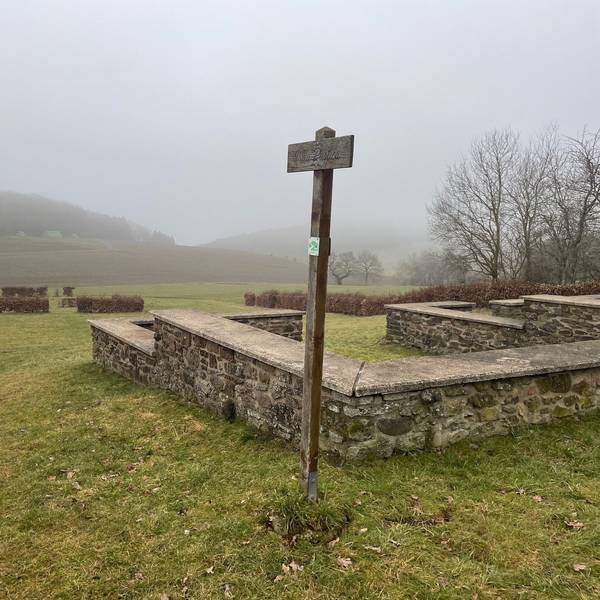 Eine Mauer steht auf einer Wiese, dahinter sind kahle Büsche und Hügel, die im Nebel verschwinden zu sehen.