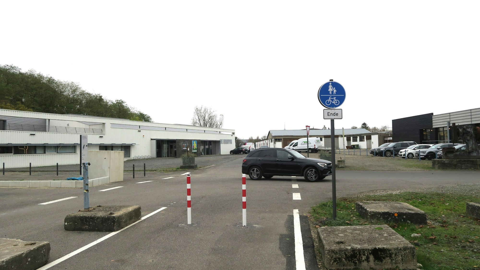 Blick auf einen Radweg, der