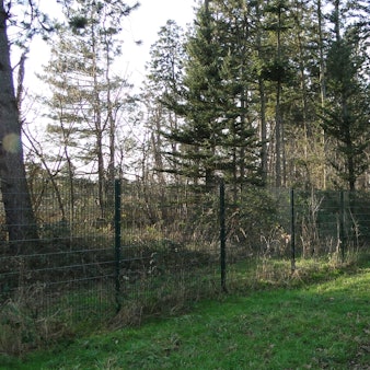 Hinter einem Zaun ist ein bewaldetes Gebiet zu sehen, es liegt an einer schmalen asphaltierten Straße.