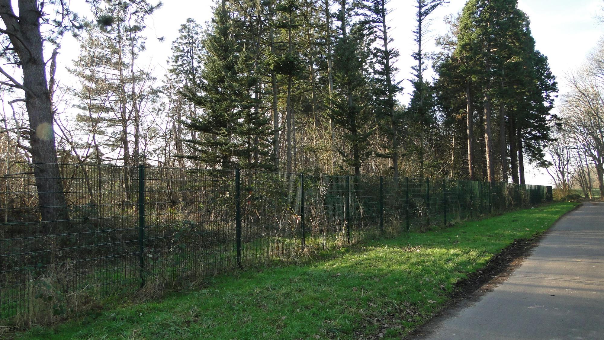 Hinter einem Zaun ist ein bewaldetes Gebiet zu sehen, es liegt an einer schmalen asphaltierten Straße.