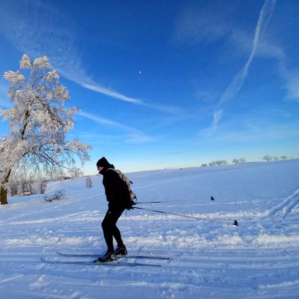 Ein Skilangläufer im Schnee.
