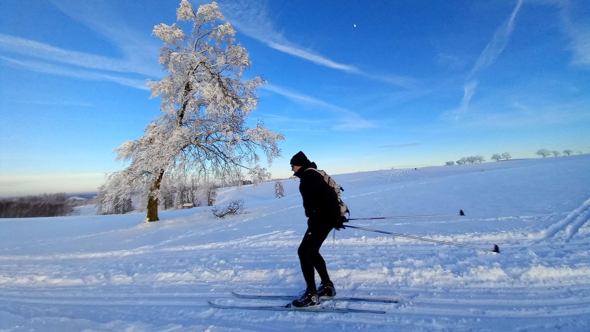 Ein Skilangläufer im Schnee.