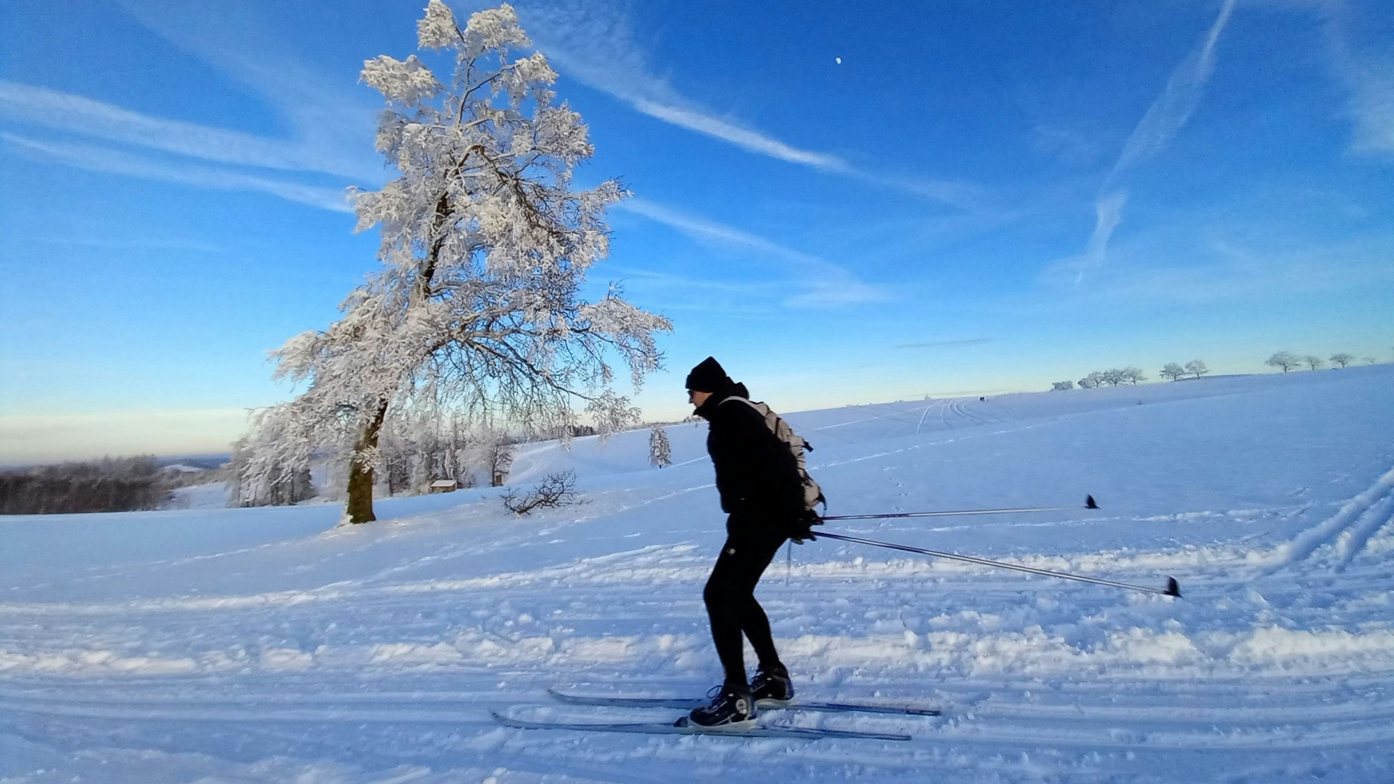 Ein Skilangläufer im Schnee.