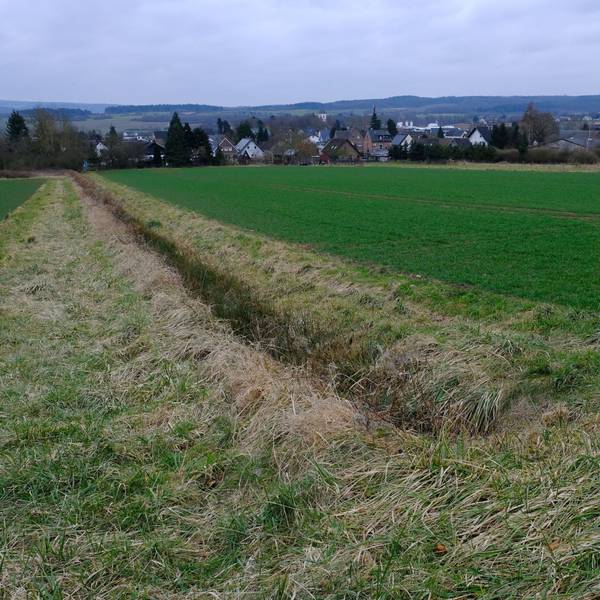 Blick auf einen Acker bei Mechernich-Antweiler, wo ein Baugebiet entstehen soll. Im Hintergrund sind Häuser am Dorfrand zu sehen.