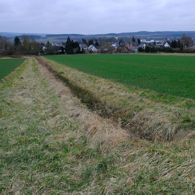 Blick auf einen Acker bei Mechernich-Antweiler, wo ein Baugebiet entstehen soll. Im Hintergrund sind Häuser am Dorfrand zu sehen.