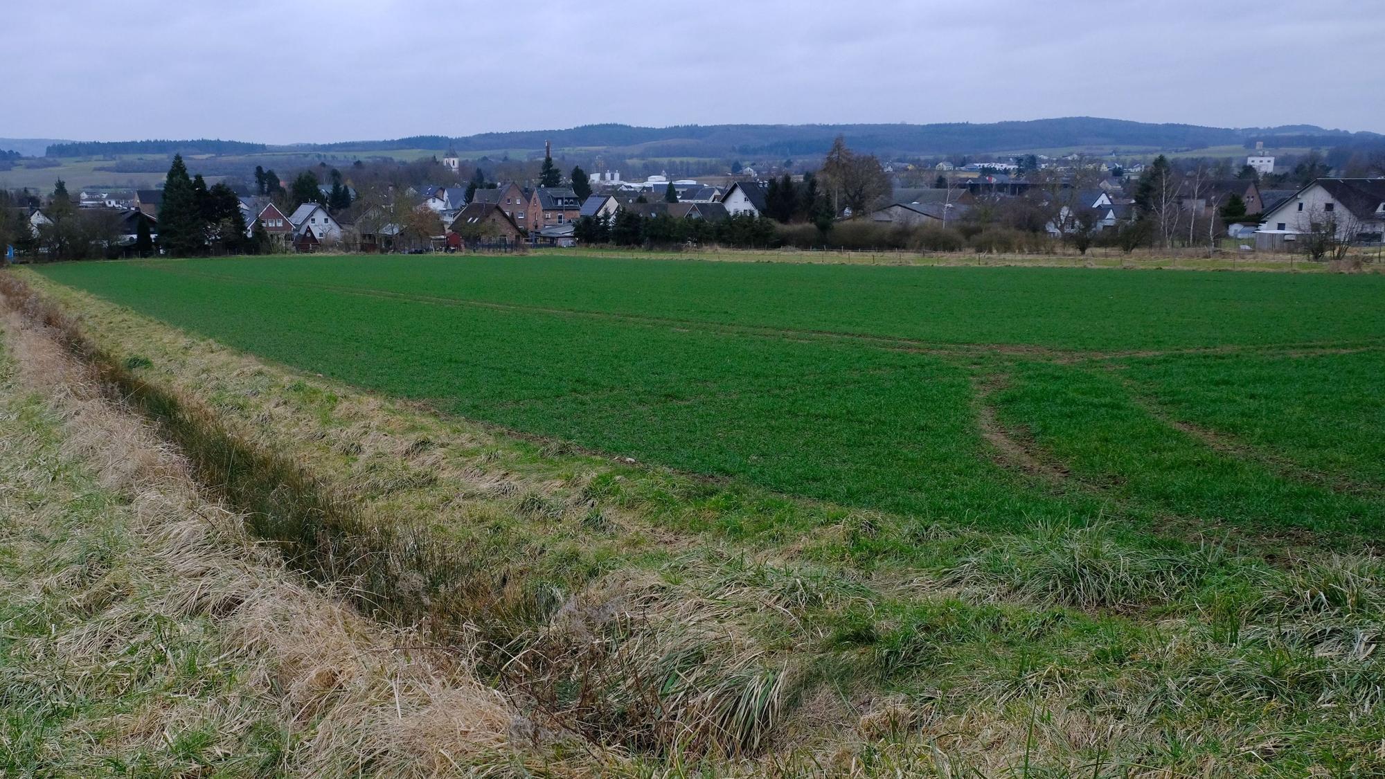Blick auf einen Acker bei Mechernich-Antweiler, wo ein Baugebiet entstehen soll. Im Hintergrund sind Häuser am Dorfrand zu sehen.