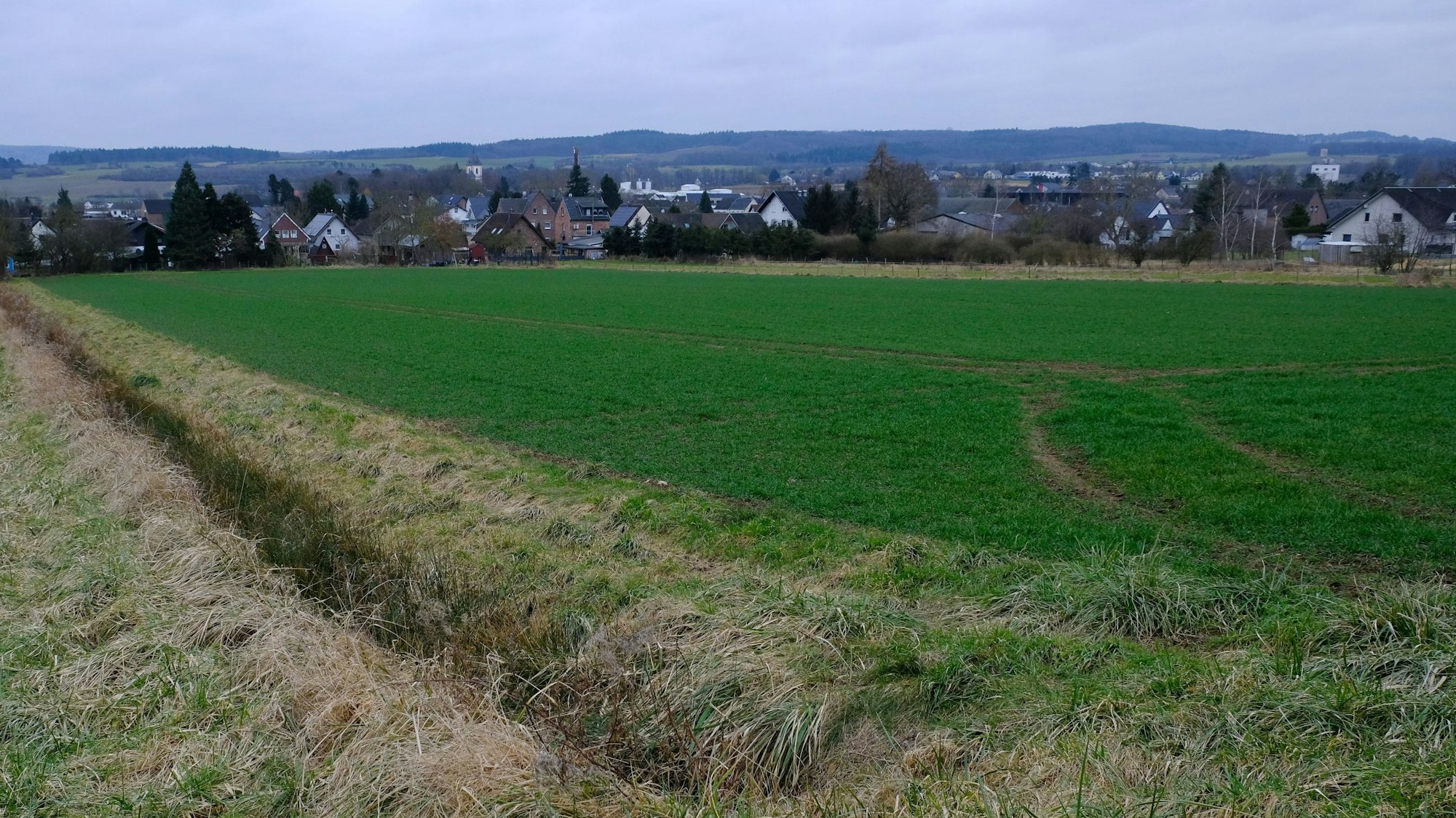 Blick auf einen Acker bei Mechernich-Antweiler, wo ein Baugebiet entstehen soll. Im Hintergrund sind Häuser am Dorfrand zu sehen.