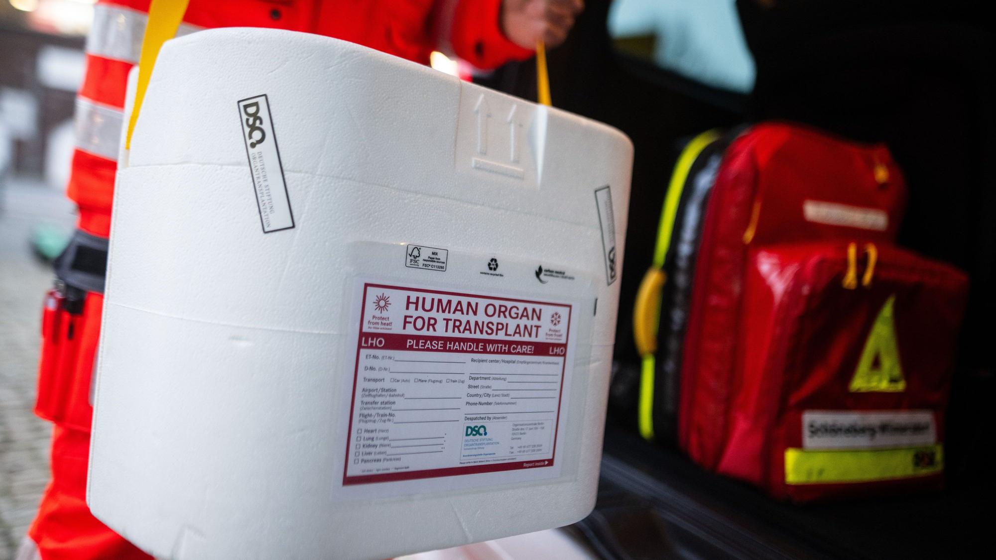 Ein Mitarbeiter des DRK stellt eine Kühlbox für eine Organspende in einen Transporter des Deutschen Roten Kreuzes. (gestellte Szene)