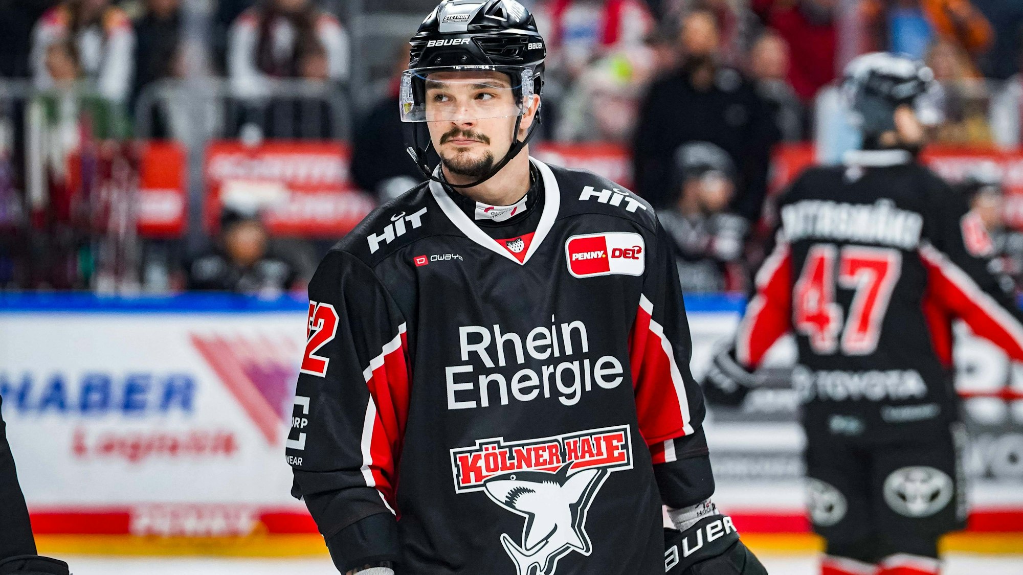 Letzter Neuzugang in dieser S