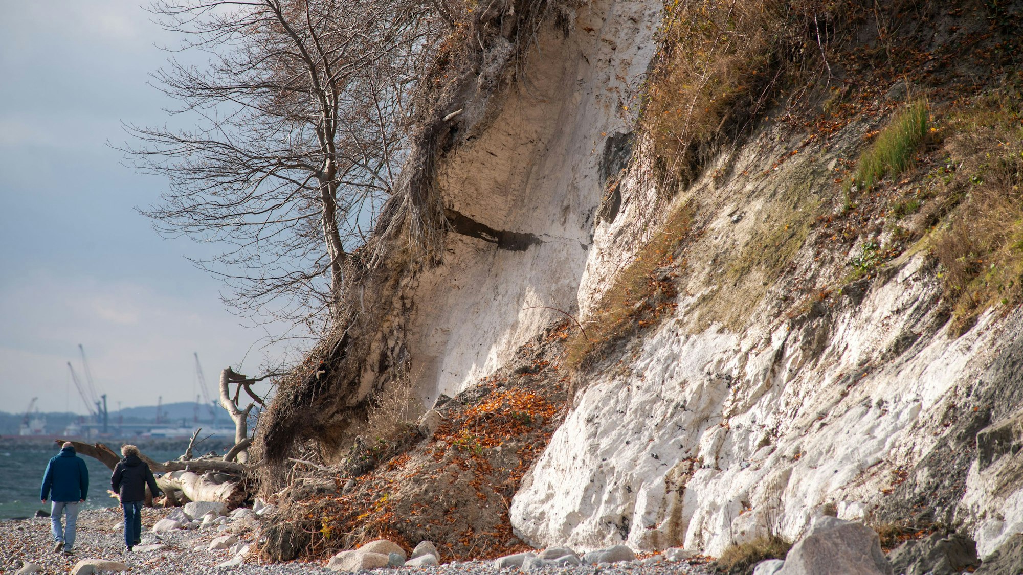 dpatopbilder - 08.11.2023, Mecklenburg-Vorpommern, Sassnitz: Kreide- und Mergelmassen liegen am Strand unterhalb des Stadtgebiet an der Steilküste. Die Folgen der Sturmflut sind heute auch Thema im Landtag Mecklenburg-Vorpommern. Foto: Stefan Sauer/dpa +++ dpa-Bildfunk +++