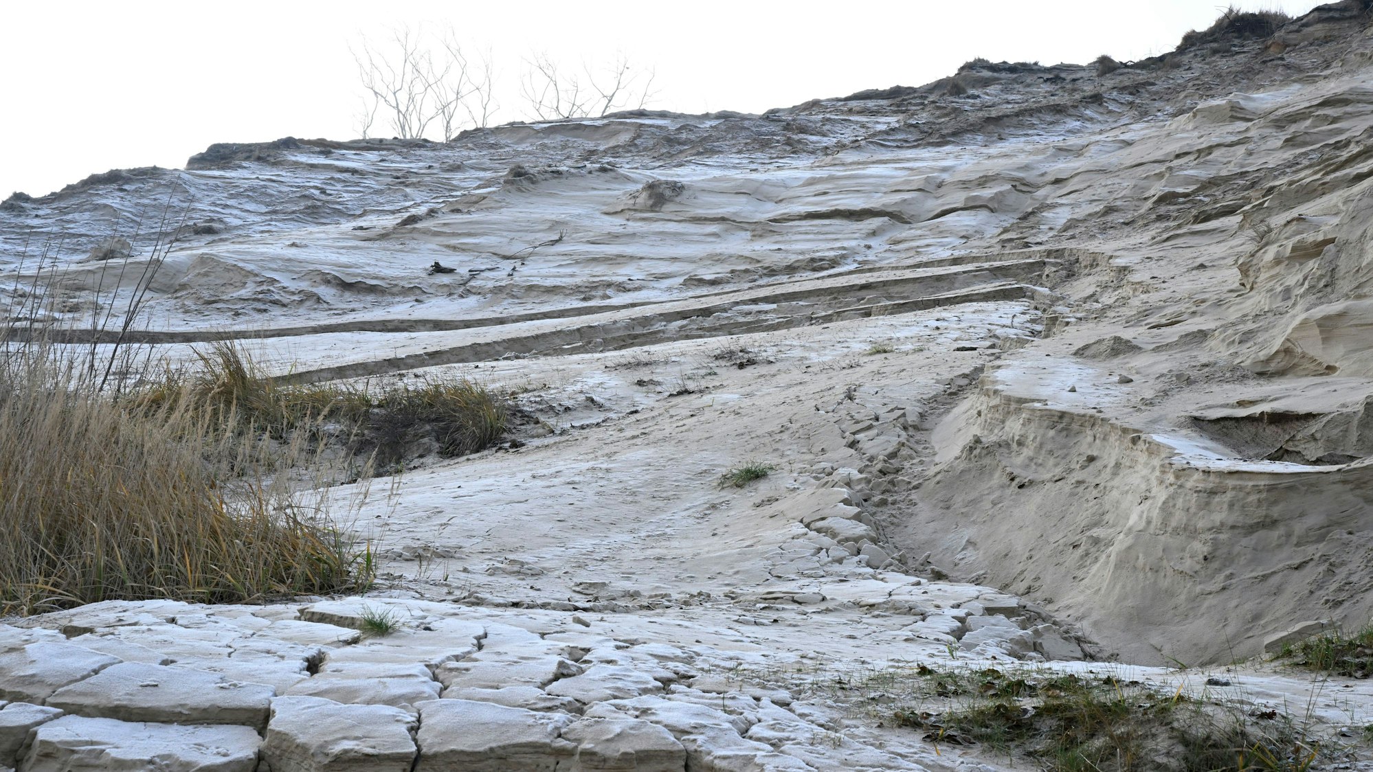 04.02.2025, Mecklenburg-Vorpommern, Sellin: Risse an der Steilküste in Sellin auf Rügen. Foto: Philip Dulian/dpa +++ dpa-Bildfunk +++