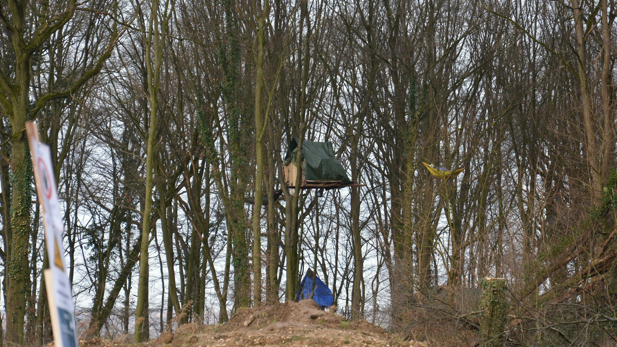 Das Foto zeigt ein Zelt in einem Wald.