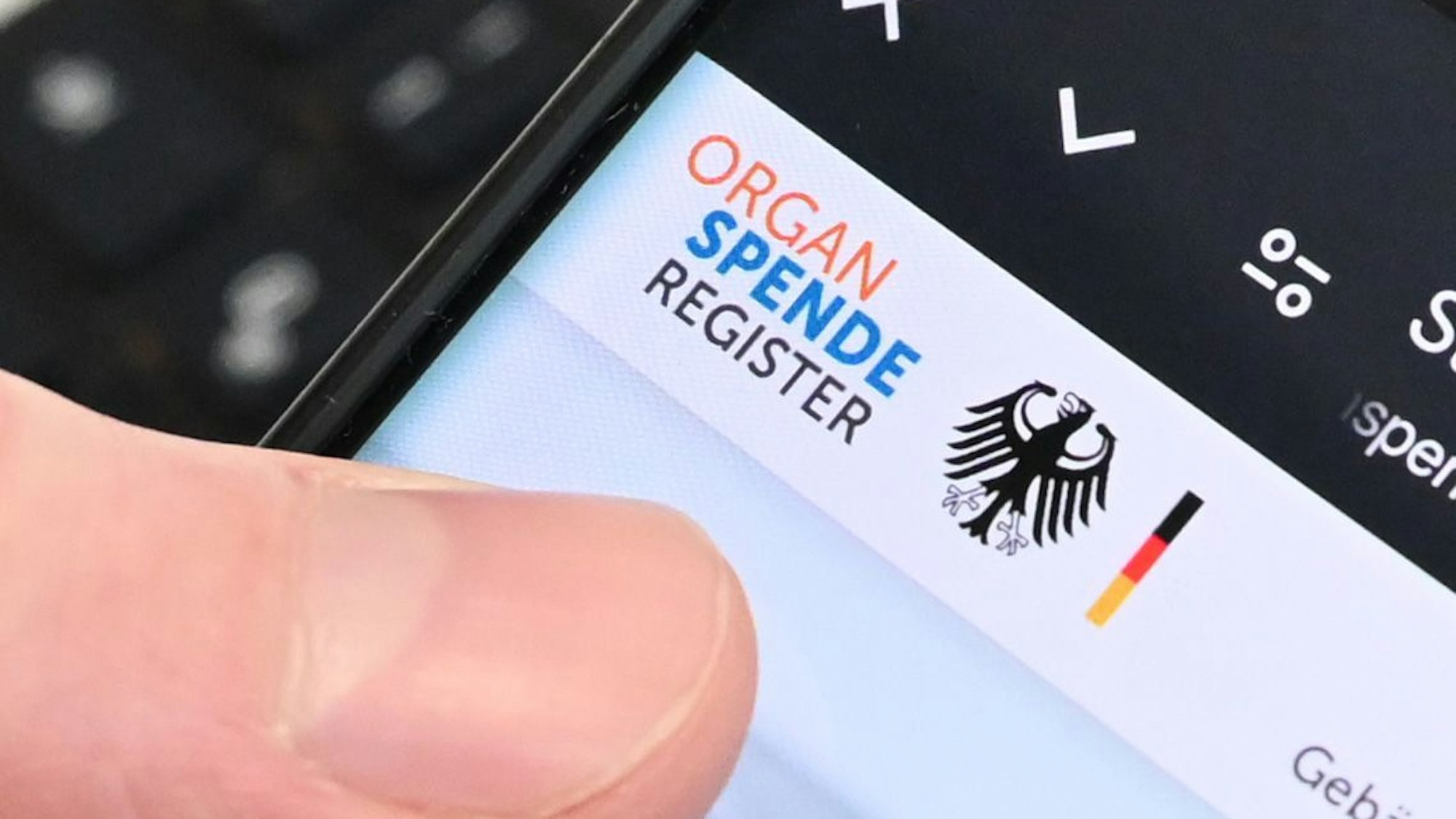 Eine Person hält ein Handy in der Hand, auf dem das Online-Portal zur Registrierung zur Organspende zu sehen ist.
