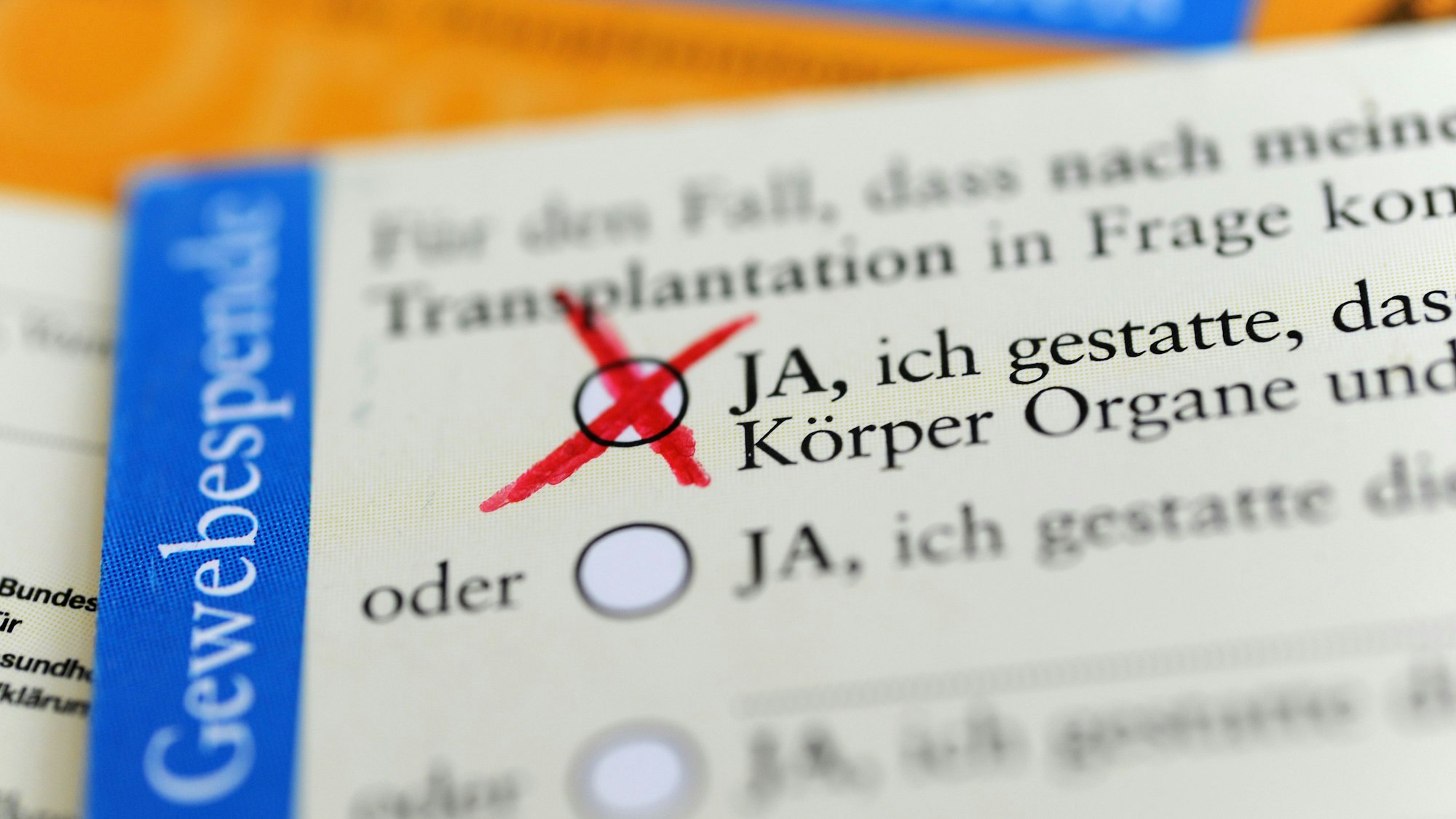Die Rückseite eines ausgefüllten Organspendeausweises. Das Zustimmungsfeld ist angekreuzt. (Symbolbild)
