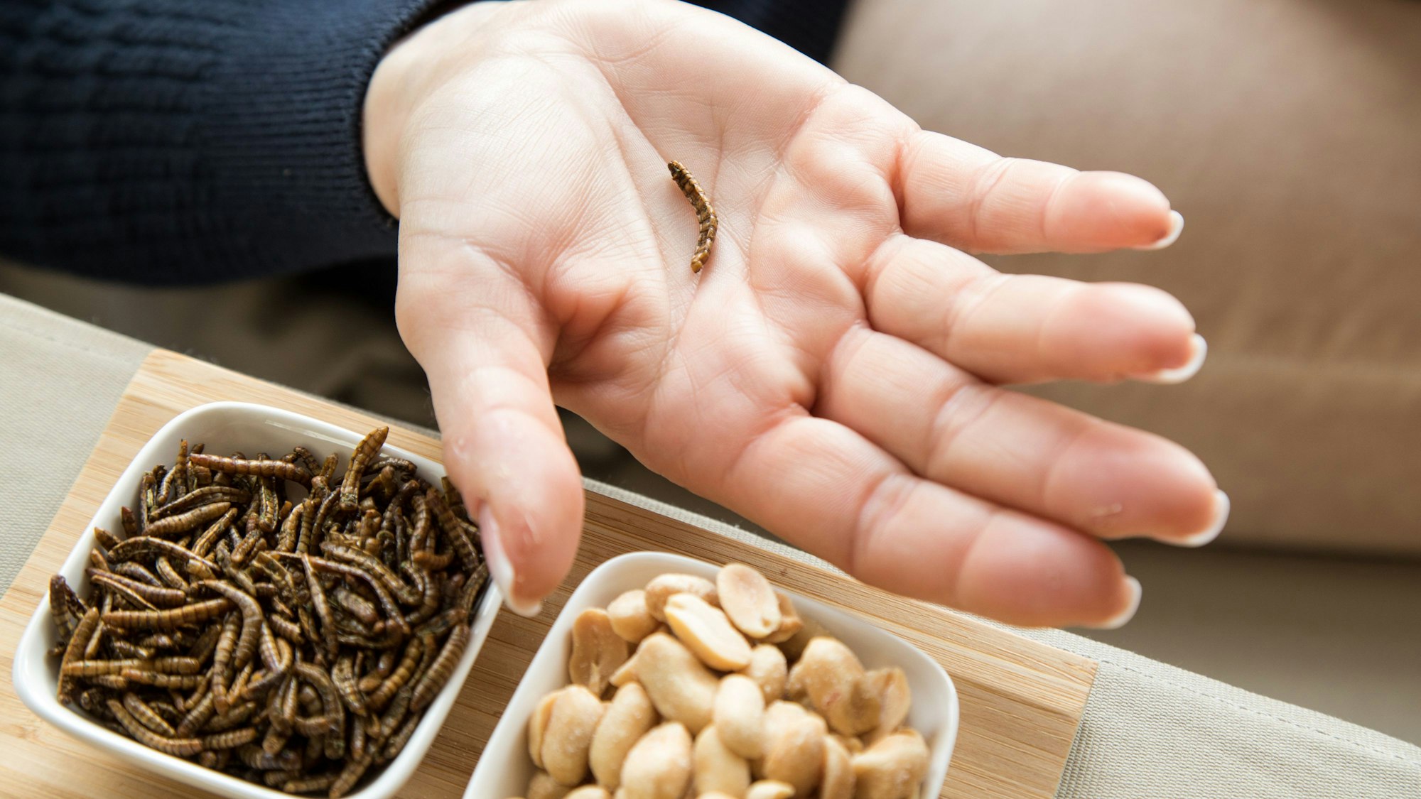 Ein Mehlwurm liegt auf der Hand einer Frau. Mehrere Mehlwürmer liegen in einer kleinen Schale neben einer Schale, die mit Erdnüssen gefüllt ist.