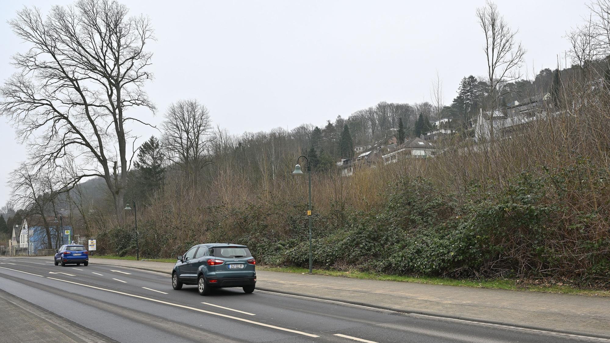Massive Investitionen in die Infrastruktur plant die Stadt Rösrath. Auf einer Freifläche an der Bergischen Landstraße soll ein Neubau der Grundschule Hoffnungsthal entstehen.