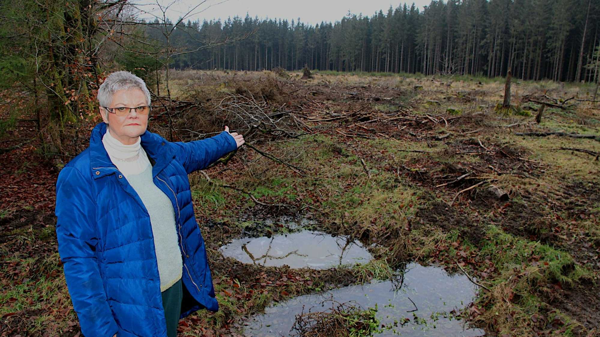 Gaby Cremer steht im Wald bei Hellenthal-Paulushof und deutet auf eine Stelle, an der zahlreiche Bäume gefällt wurden.