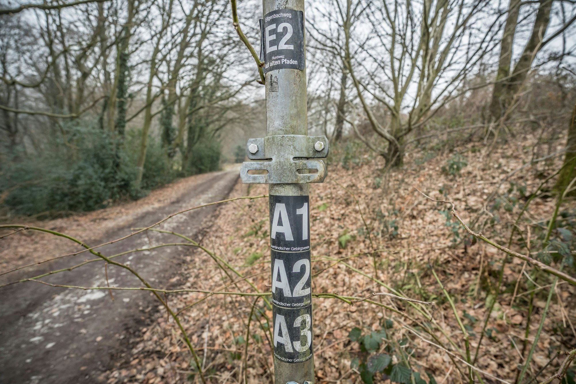 Burscheid Bellinghausen: Der Wanderweg führt hinunter ins Eigfgenbachtal.