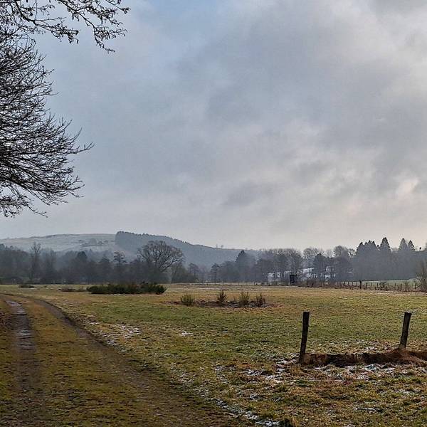 Auf einer landwirtschaftlichen Fläche soll eine PV-Anlage entstehen.