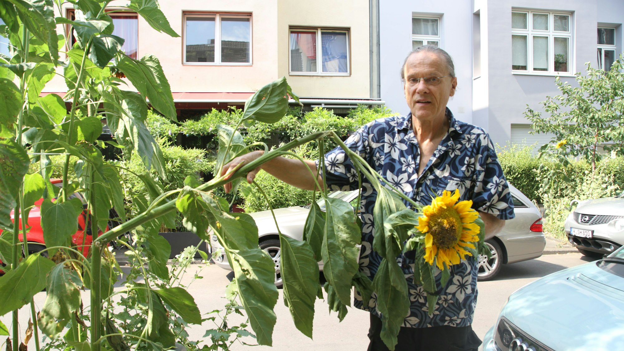Ein Mann mit Brille und im Blumenhemd steht neben einer abgeknickten Sonnenblume.