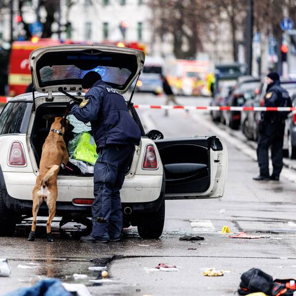 dpatopbilder - 13.02.2025, Bayern, München: Die Polizei untersucht mit einem Spürhund ein Auto unweit des Stiglmaierplatz. In der Münchner Innenstadt ist ein Fahrzeug in eine Menschengruppe gefahren. Foto: Matthias Balk/dpa +++ dpa-Bildfunk +++