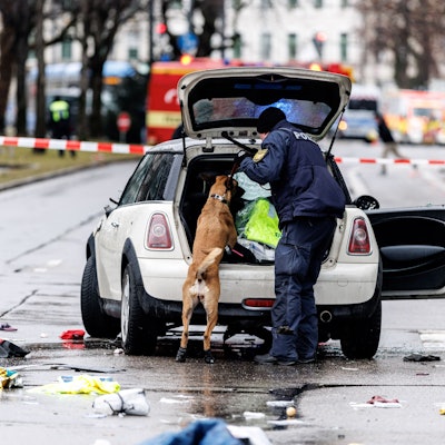 dpatopbilder - 13.02.2025, Bayern, München: Die Polizei untersucht mit einem Spürhund ein Auto unweit des Stiglmaierplatz. In der Münchner Innenstadt ist ein Fahrzeug in eine Menschengruppe gefahren. Foto: Matthias Balk/dpa +++ dpa-Bildfunk +++