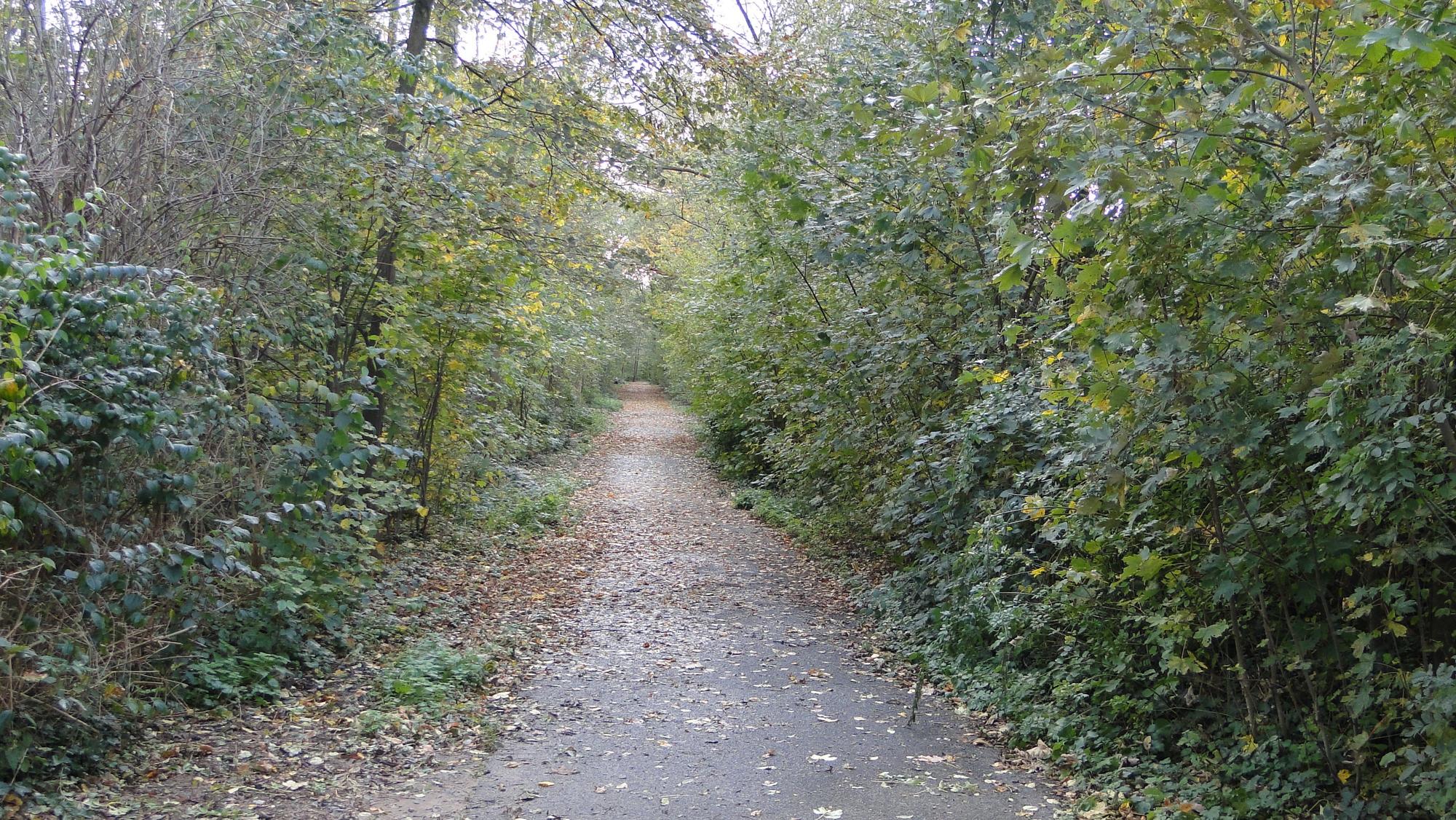 Der Giershausener Weg ist seit zwei Jahren ohne Beleuchtung.