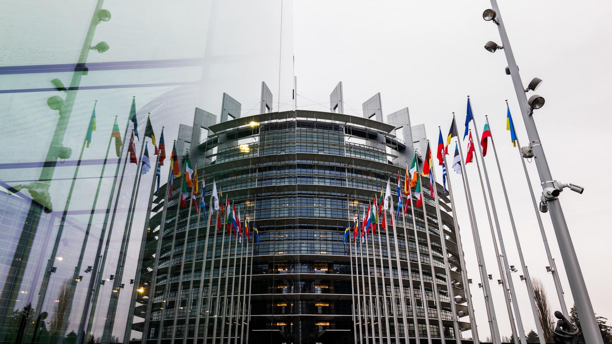 ARCHIV - 22.01.2025, Frankreich, Straßburg: Die Fahnen der Mitgliedsstaaten der Europäischen Union und der Ukraine wehen vor dem Gebäude des Europäischen Parlaments und spiegeln sich dabei in einer gläsernen Wand.