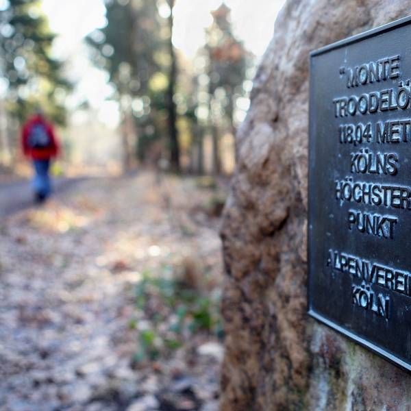 Am Weg steht eine Stein mit einer Bronzetafel auf dem Gipfel des Monte Troodelöh.