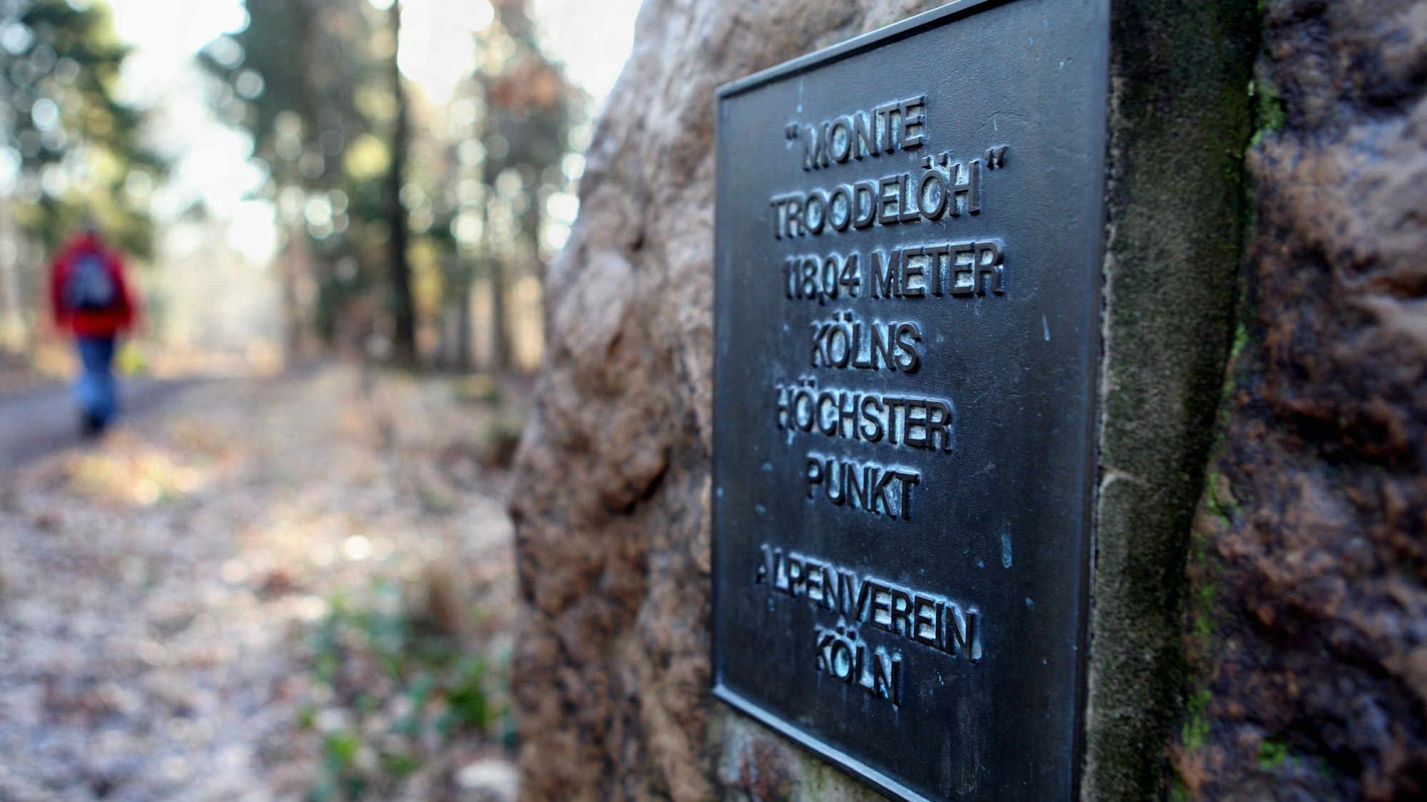 Am Weg steht eine Stein mit einer Bronzetafel auf dem Gipfel des Monte Troodelöh.