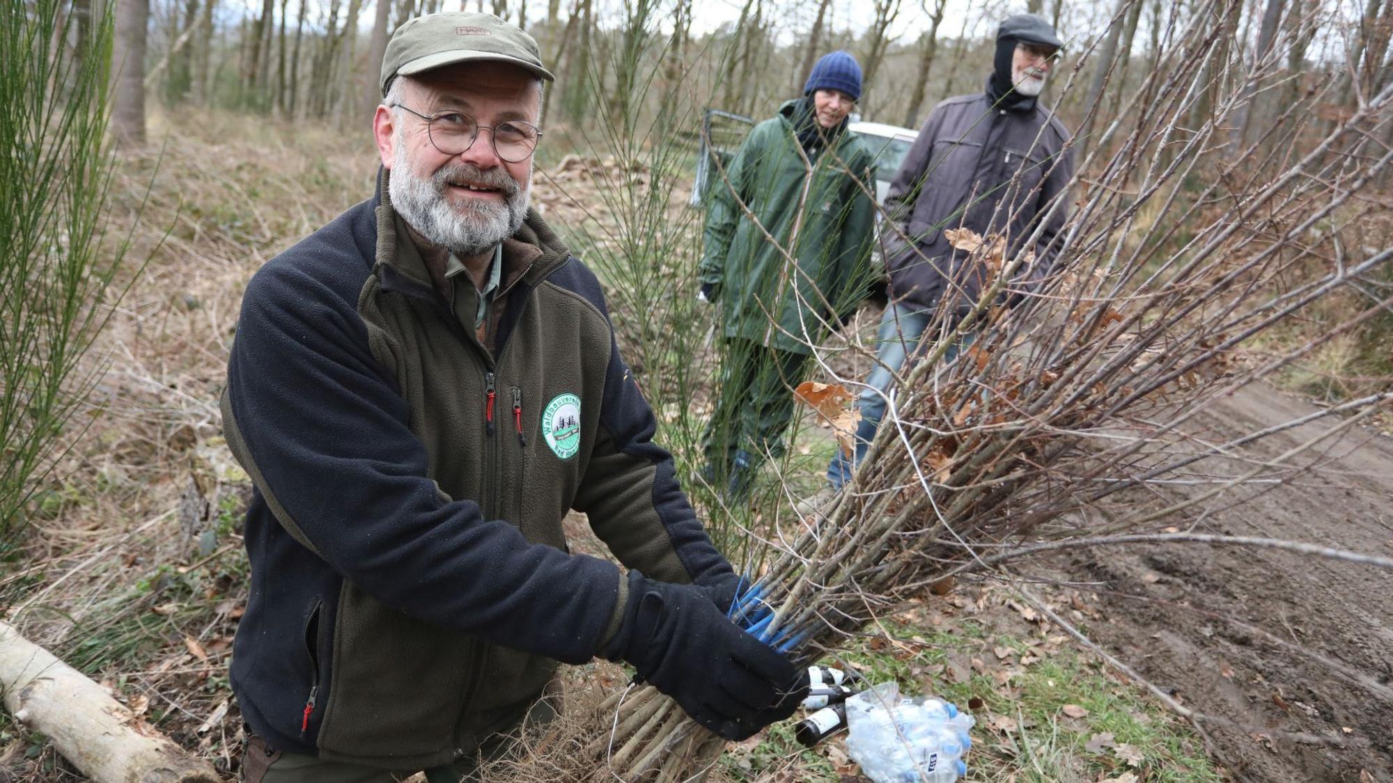 Ein Mann im Wald. In der Hand hält er Baumsetzlinge.