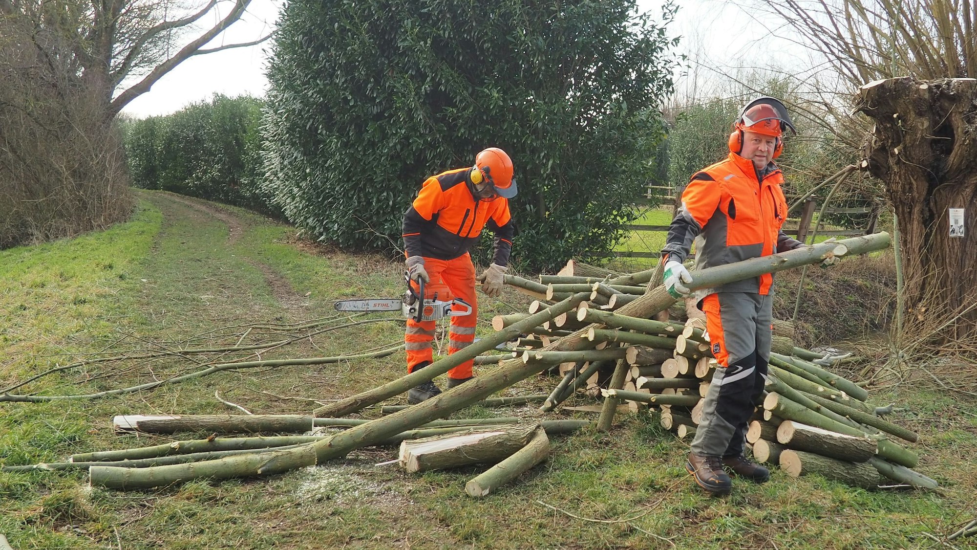Zwei Männer sägen die Äste auf handliche Stücke, die sie dann stapeln.