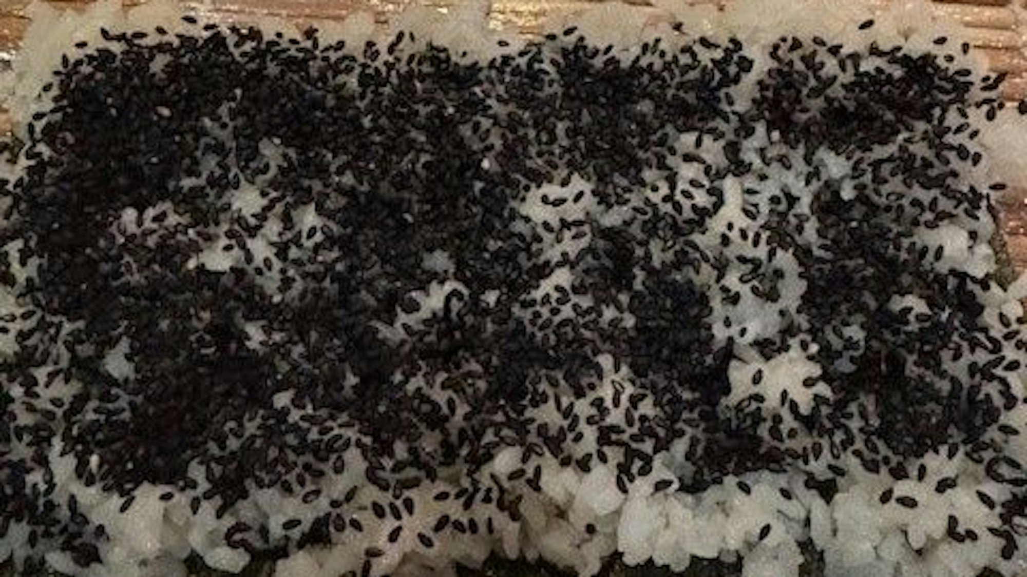 So geht eine Inside-Out-Roll mit Thunfisch: Reis und Sesam auf dem Nori-Blatt verteilen ...